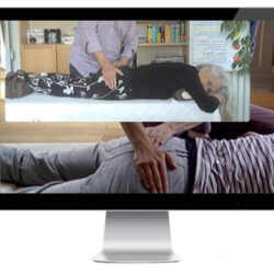 Reiki Online Monitor